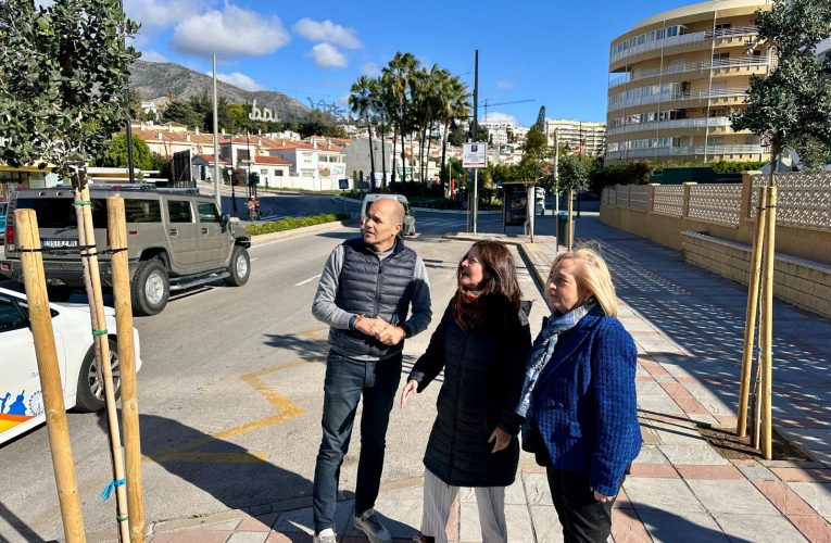 The Fuengirola City Council replaces more than a hundred trees on Las Gaviotas Avenue