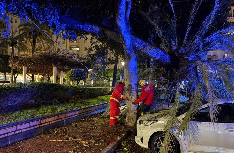 The Fuengirola City Council responds to more than a dozen incidents caused by the passage of the storm Leonardo through the city