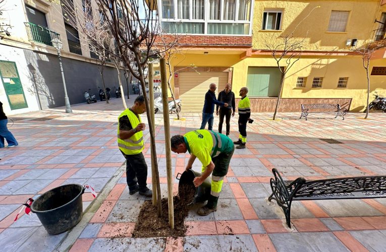 The Fuengirola City Council completes the Revegetation Plan with more than 200 new trees in 58 streets and public spaces