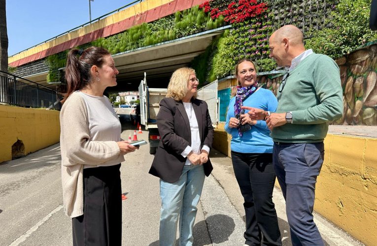 The Fuengirola City Council renews the vertical garden of the Finland Avenue bridge, in Los Pacos